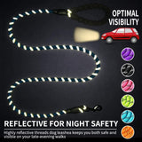 Dog Luminous Leash Chain