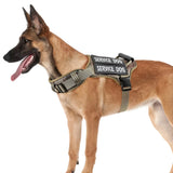 Tactical Service Dog Harness With Handle, No-Pull Adjustable Reflective Pet Vest Harness For Easy Walking And Training — control, comfort, and safety combined