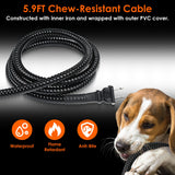 Heated Water Bowl For Dog Cat – warm hydration made simple