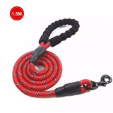 Dog Luminous Leash Chain