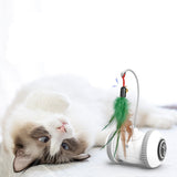Interactive Cat Toy With Interchangeable Heads