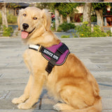 Dog Chest strap harness