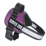 Dog Chest strap harness