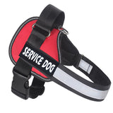 Dog Chest strap harness