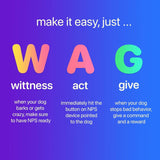 Dog Bark Deterrent Device—train smarter, stop barking safely