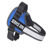 Dog Chest strap harness