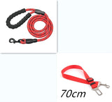 Reflective Nylon Dog Leash
