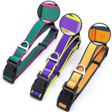 Fashionable New Tactical Collar Allows You To Better Control Your Beloved Dog — stylish strength for everyday walks