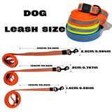 Reflective Leash Set — safety and style for every outdoor outing