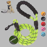 Dog Luminous Leash Chain