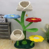 Cat's Grasping Board Integrated Climbing Frame